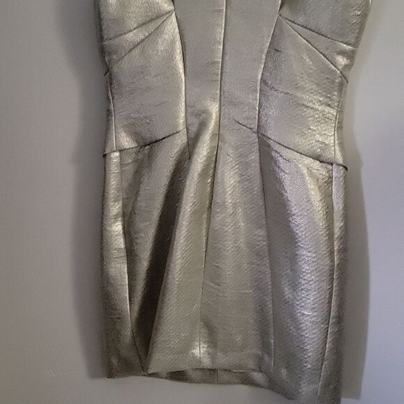 * * ROBERT RODRIGUEZ Silver Party Dress - Picture 7 of 9